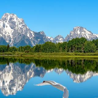 Water 4k iPad wallpaper