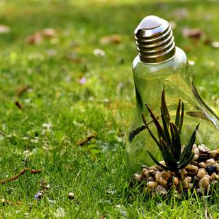 Environmental protection wallpaper