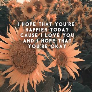 Olivia Rodrigo lyrics wallpaper