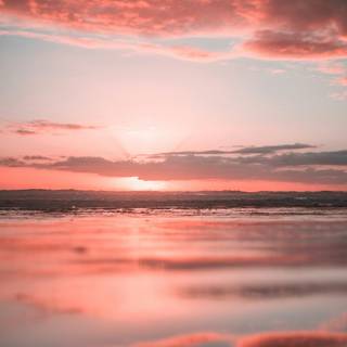 Pink and yellow sunset wallpaper