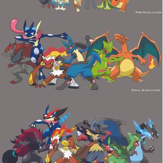 Sceptile and Greninja wallpaper