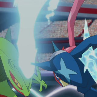 Sceptile and Greninja wallpaper