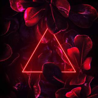 Black and red neon wallpaper