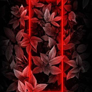 Black and red neon wallpaper