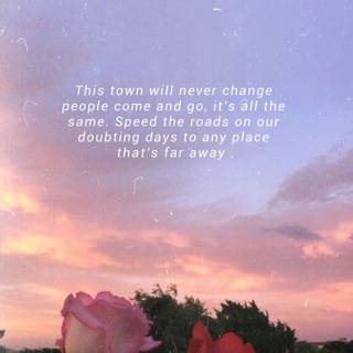 Conan Gray iPhone wallpaper