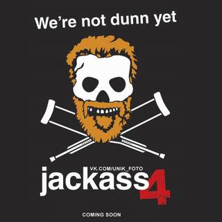 Jackass computer wallpaper
