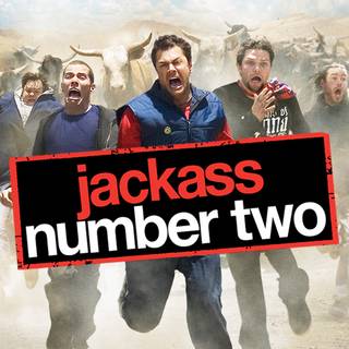 Jackass computer wallpaper