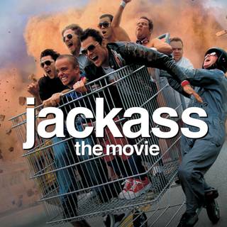 Jackass computer wallpaper