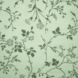 Sage grunge aesthetic laptop wallpaper