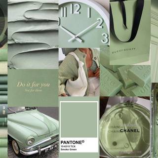 Sage grunge aesthetic laptop wallpaper