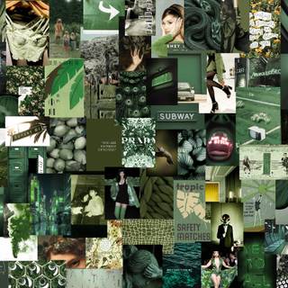 Sage grunge aesthetic laptop wallpaper