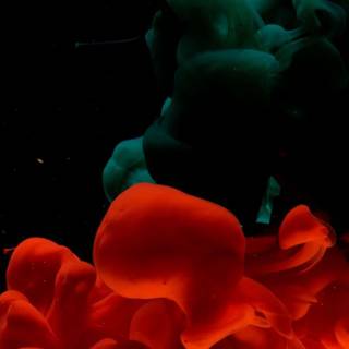 Red and green aesthetic wallpaper