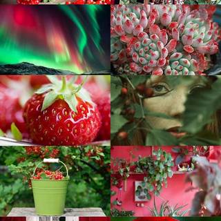 Red and green aesthetic wallpaper