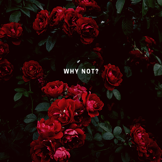 Red and green aesthetic wallpaper