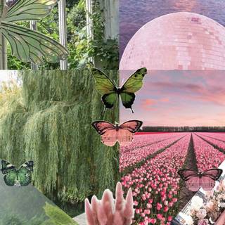 Red and green aesthetic wallpaper