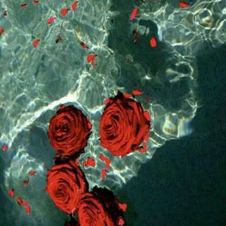 Red and green aesthetic wallpaper