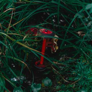 Red and green aesthetic wallpaper