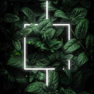 Red and green aesthetic wallpaper