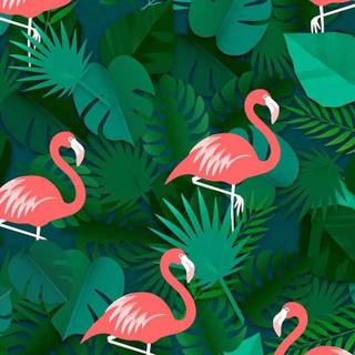 Red and green aesthetic wallpaper