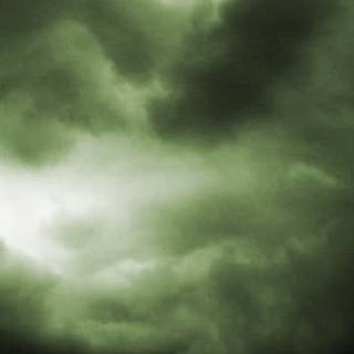 Sage grunge aesthetic laptop wallpaper