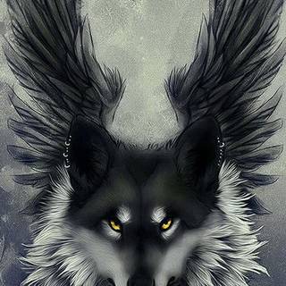 Wolf with rose wallpaper