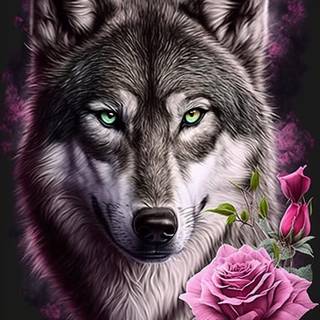 Wolf with rose wallpaper