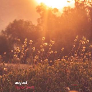 August Taylor Swift wallpaper