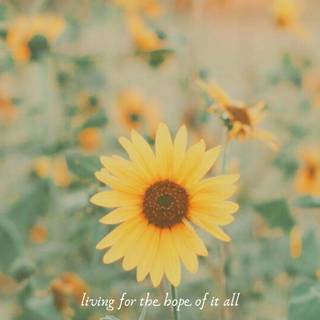 August Taylor Swift wallpaper