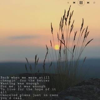 August Taylor Swift wallpaper