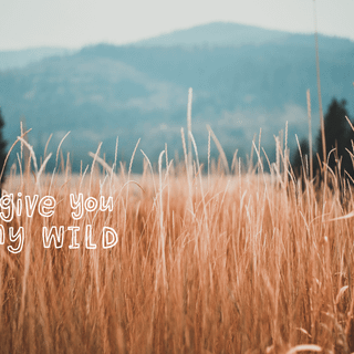 August Taylor Swift wallpaper