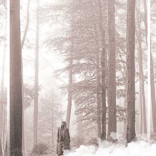 August Taylor Swift wallpaper