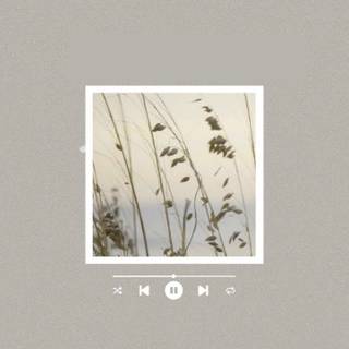 August Taylor Swift wallpaper