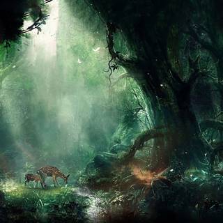 Magical nature wallpaper