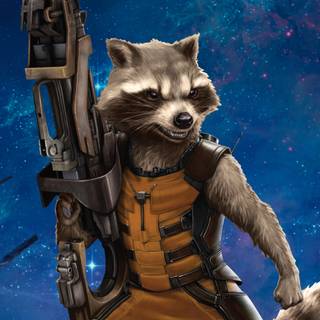 Raccoon 4k wallpaper