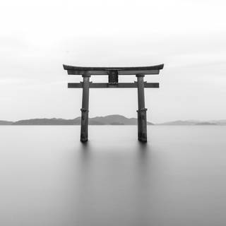 4k black and white desktop wallpaper