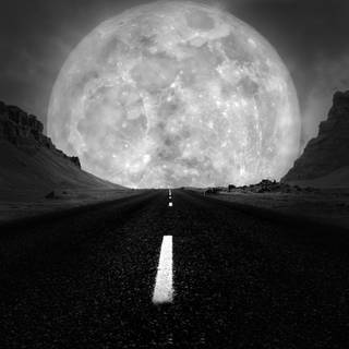 4k black and white desktop wallpaper