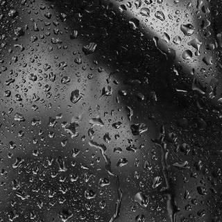 4k black and white desktop wallpaper