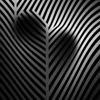 Black and white abstract 4k wallpaper