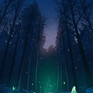 Night 4k mobile wallpaper