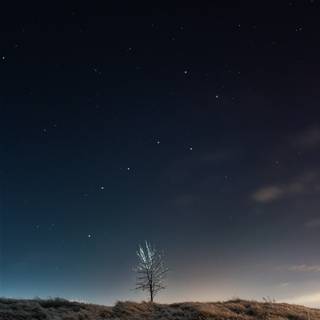 Night 4k mobile wallpaper