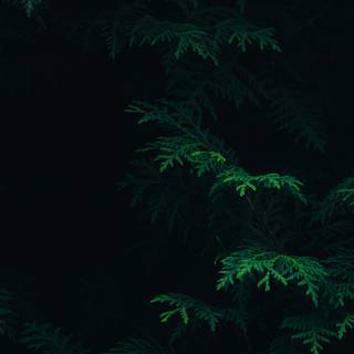 Macbook 4k dark wallpaper