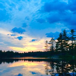 iPhone bright wallpaper