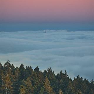 iPhone bright wallpaper