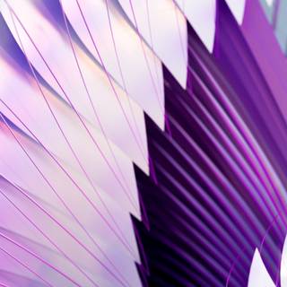 iPhone bright wallpaper