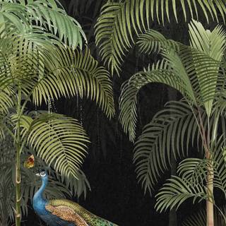 iPhone jungle wallpaper