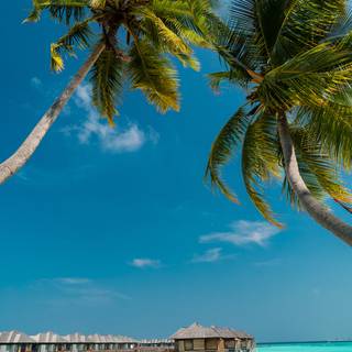 Maldives phone wallpaper