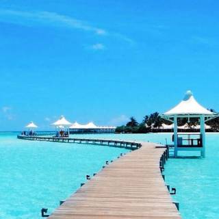 Maldives phone wallpaper