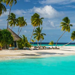 Maldives phone wallpaper