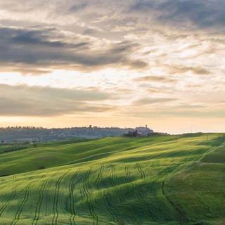 iPhone unique wallpaper