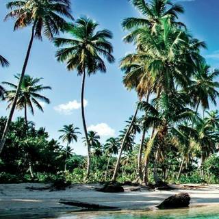 Maldives phone wallpaper